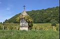 Vineyard shrine IMGP2803